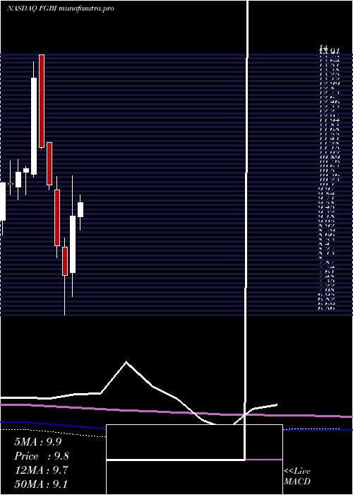 monthly chart FirstGuaranty