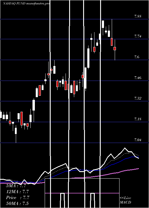 Daily chart SprottFocus