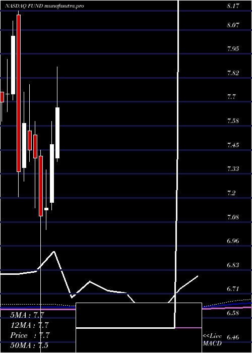 monthly chart SprottFocus