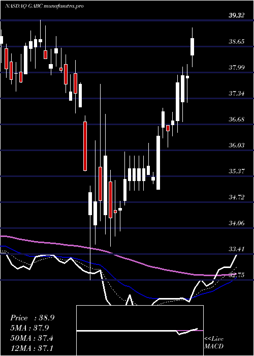 Daily chart GermanAmerican