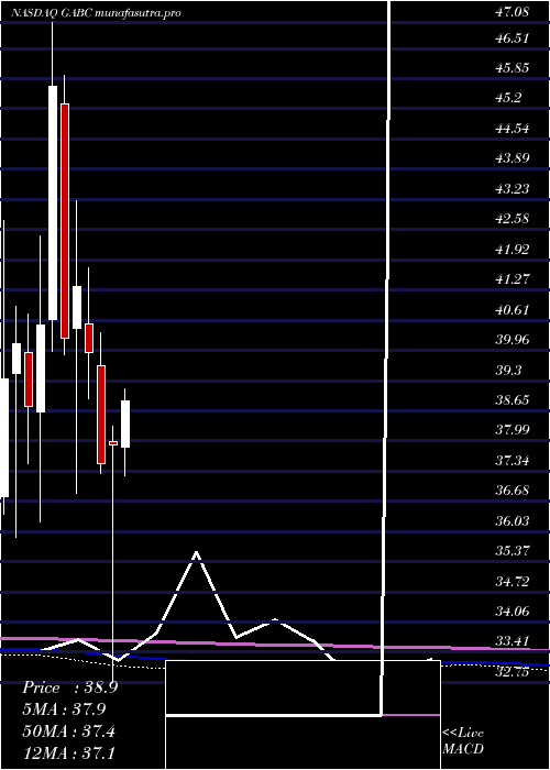 monthly chart GermanAmerican