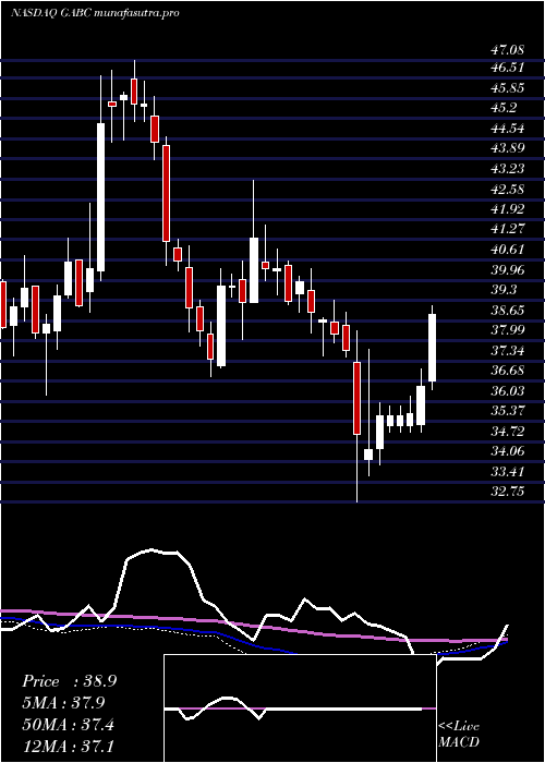weekly chart GermanAmerican