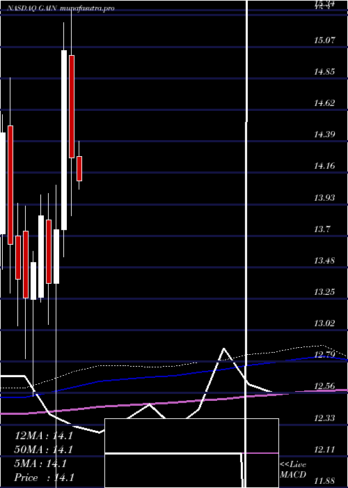 monthly chart GladstoneInvestment