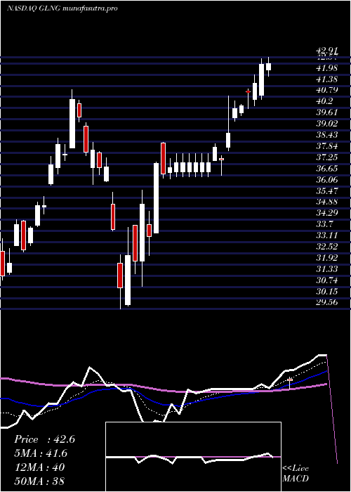 Daily chart GolarLng