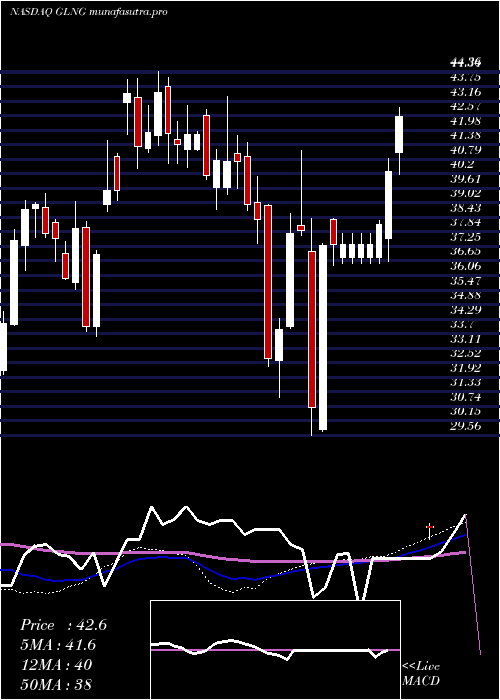 weekly chart GolarLng