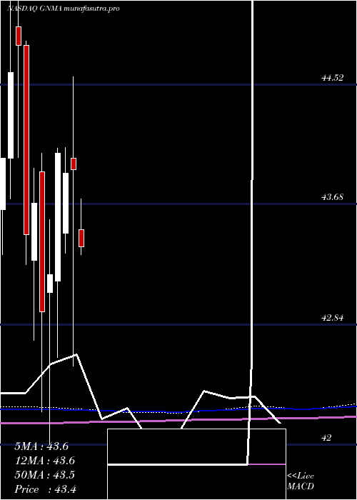 monthly chart IsharesGnma