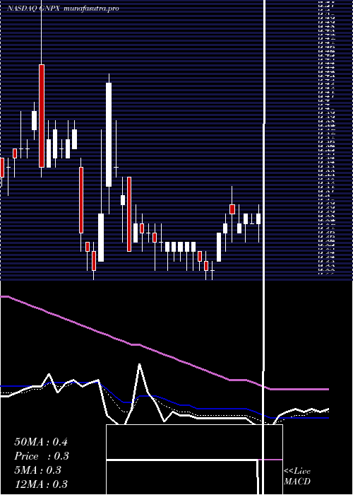 Daily chart GenprexInc