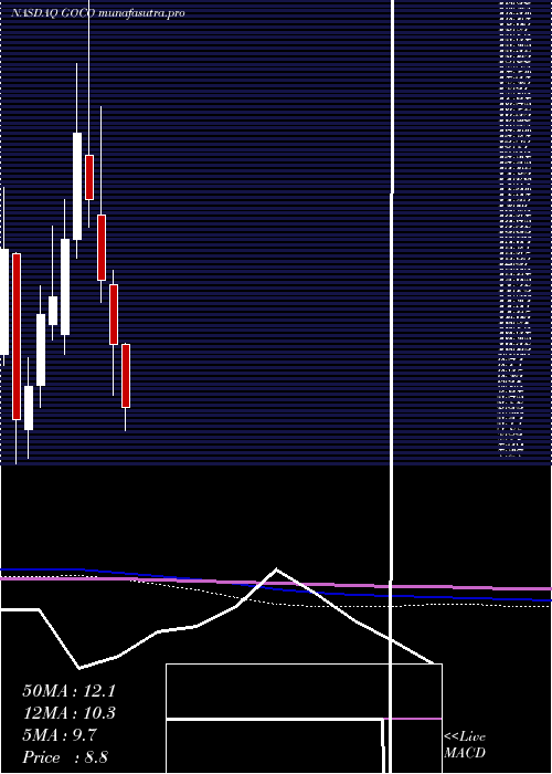 monthly chart GohealthInc