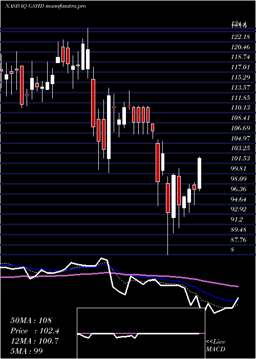 Daily chart GooseheadInsurance