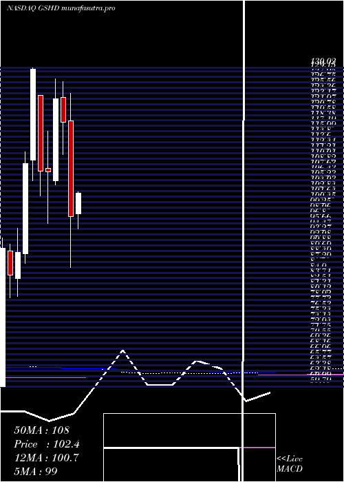 monthly chart GooseheadInsurance