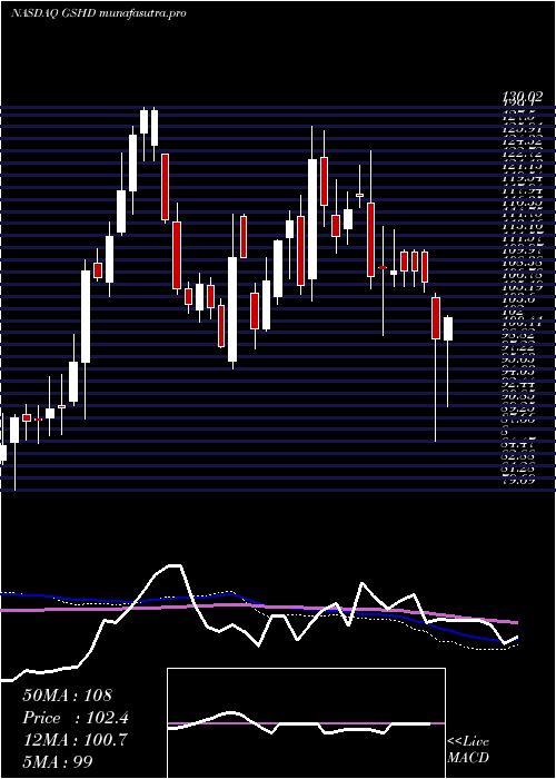 weekly chart GooseheadInsurance