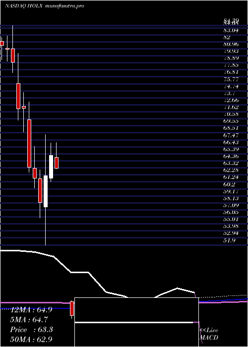 monthly chart HologicInc