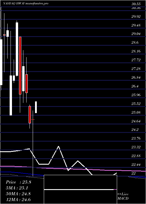 monthly chart HealthwaysInc