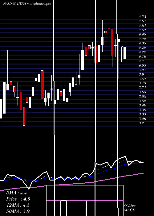 Daily chart HydrofarmHoldings