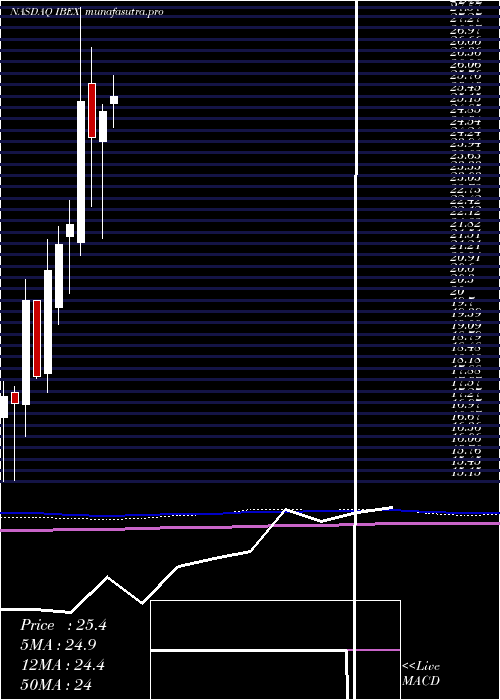 monthly chart IbexHoldings