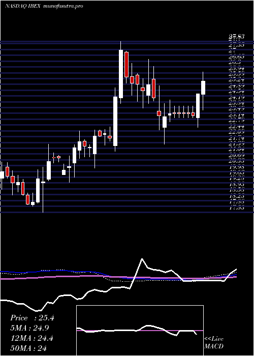 weekly chart IbexHoldings
