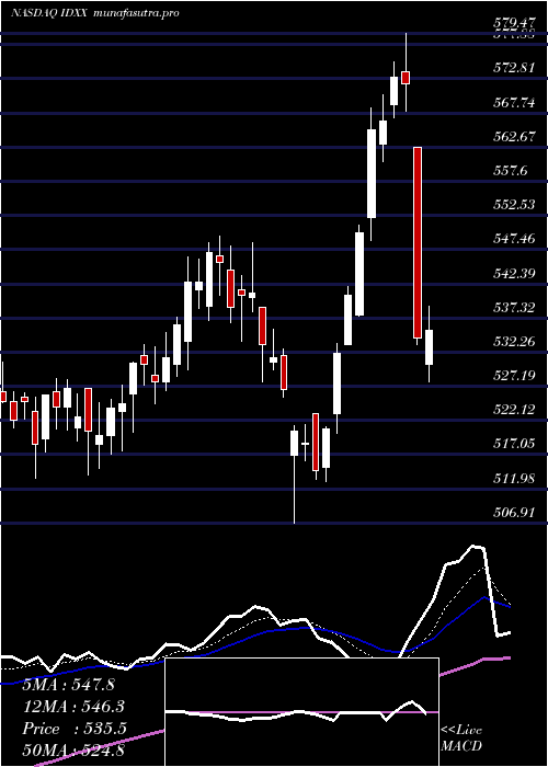  Daily chart IdexxLaboratories