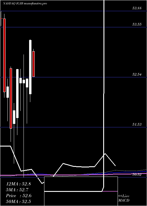 monthly chart IsharesIntermediate