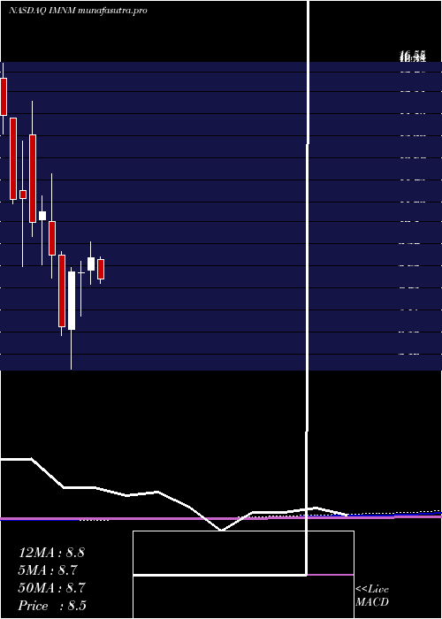 monthly chart ImmunomeInc