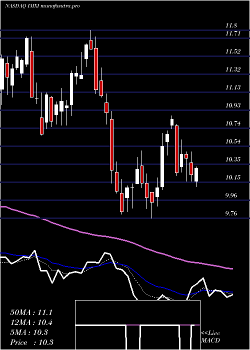 Daily chart InternationalMoney