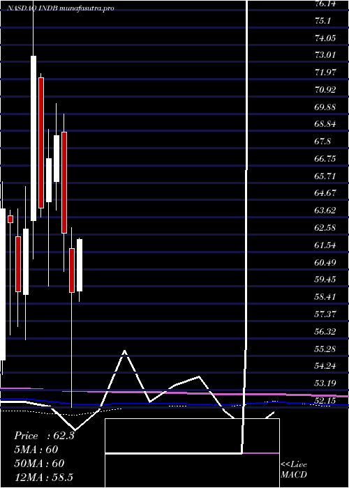 monthly chart IndependentBank