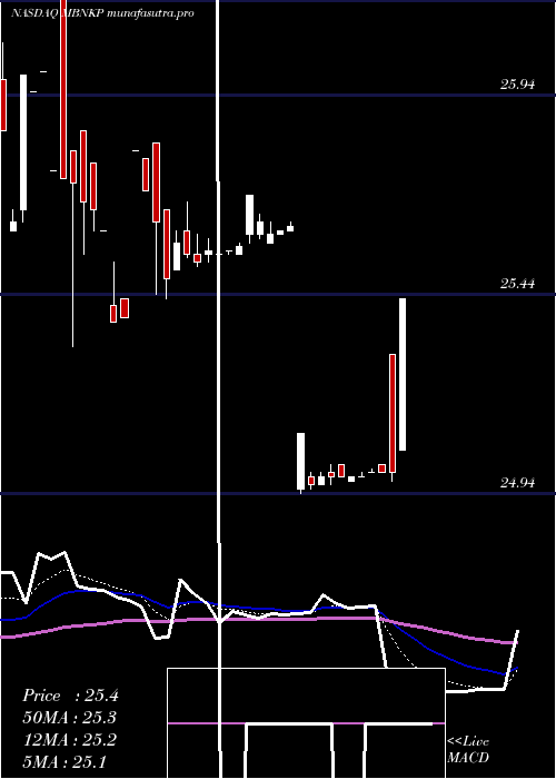 Daily chart MedallionBank