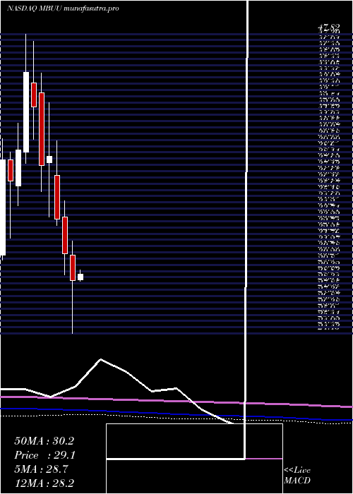 monthly chart MalibuBoats