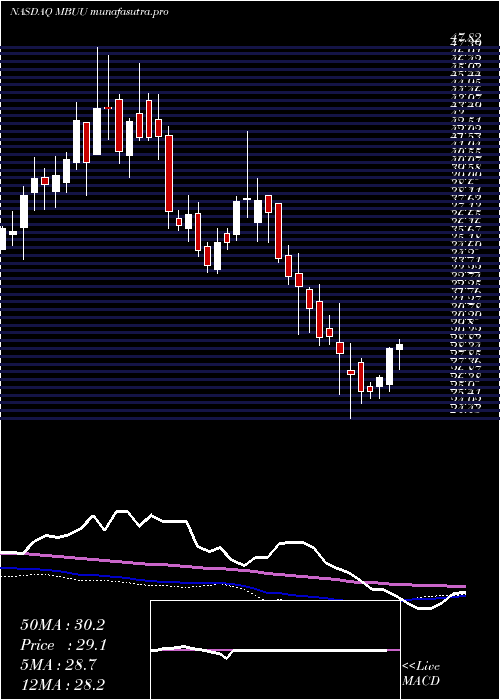 weekly chart MalibuBoats
