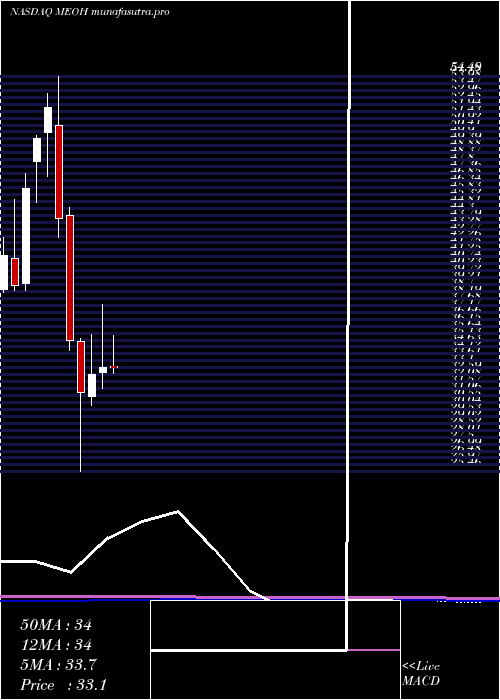 monthly chart MethanexCorporation
