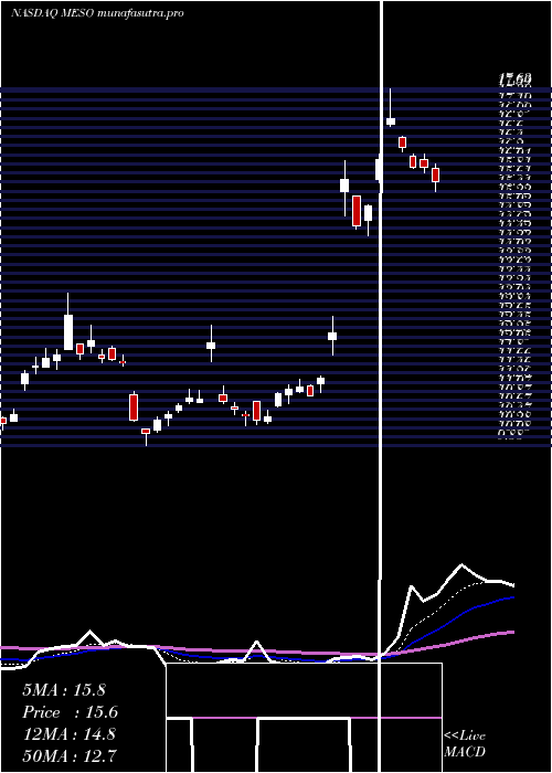  Daily chart Mesoblast