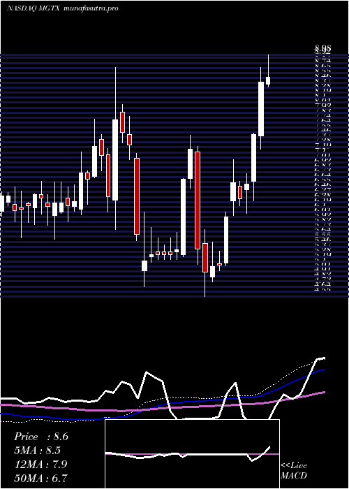 weekly chart MeiragtxHoldings