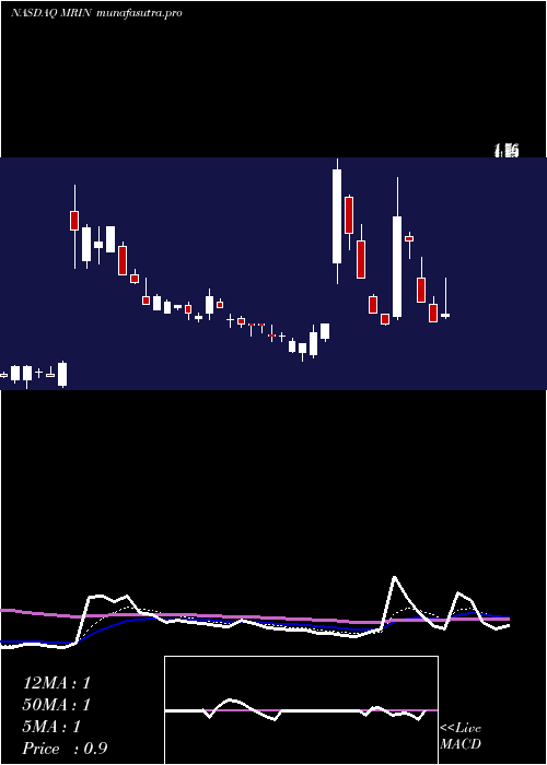  Daily chart MarinSoftware