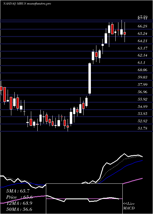  Daily chart MerusN