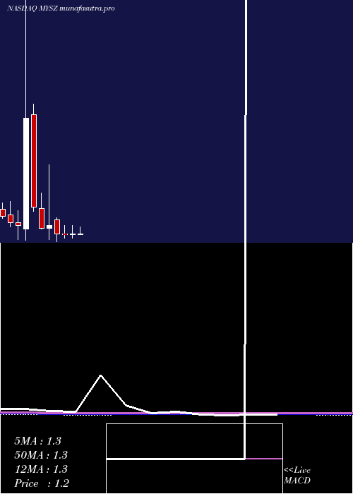 monthly chart MySize