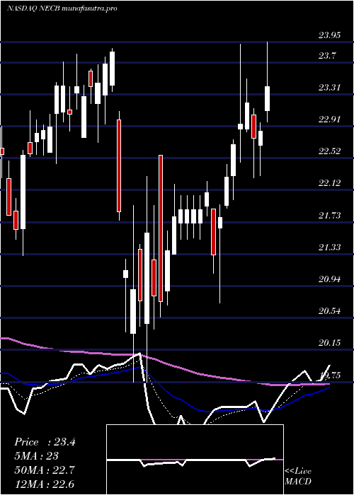 Daily chart NortheastCommunity