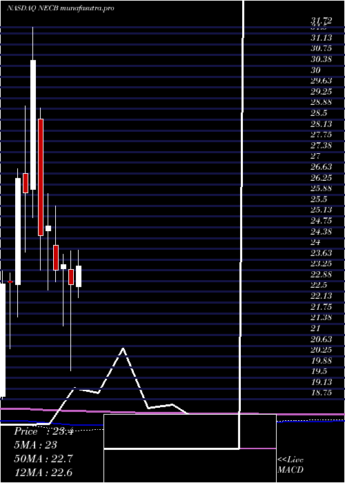monthly chart NortheastCommunity