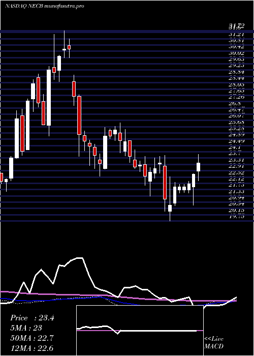 weekly chart NortheastCommunity