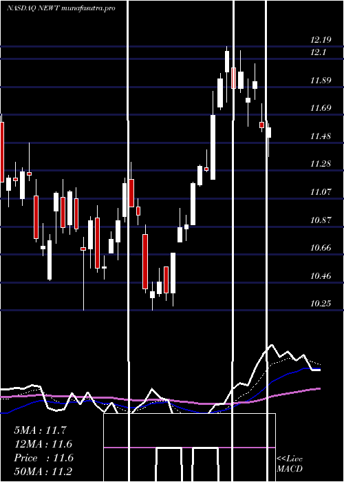 Daily chart NewtekBusiness