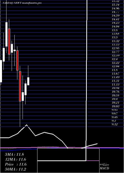 monthly chart NewtekBusiness