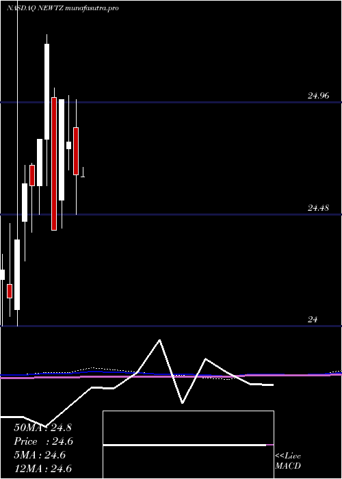 monthly chart NewtekBusiness