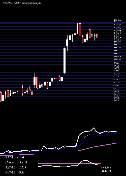  Daily chart NextdecadeCorporation