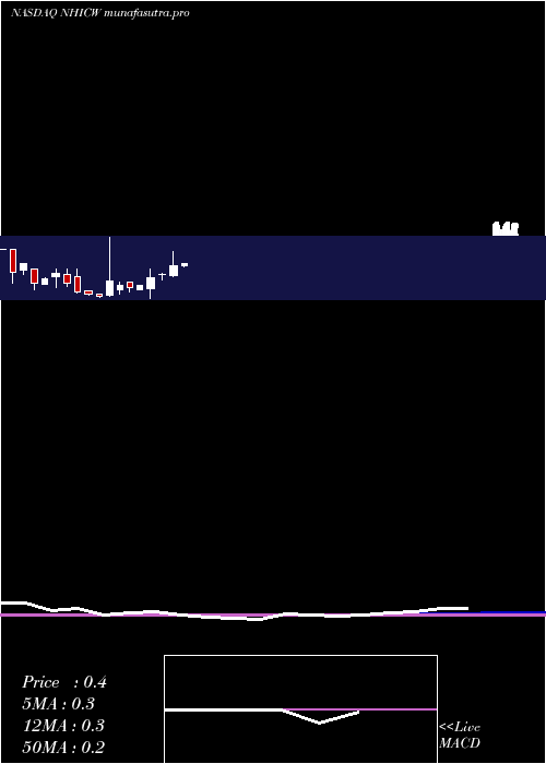 monthly chart NewholdInvestment