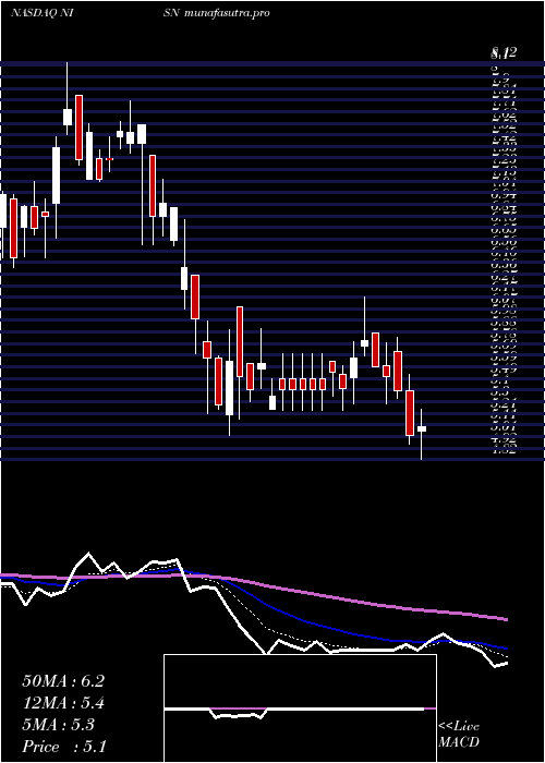 Daily chart NisunInt