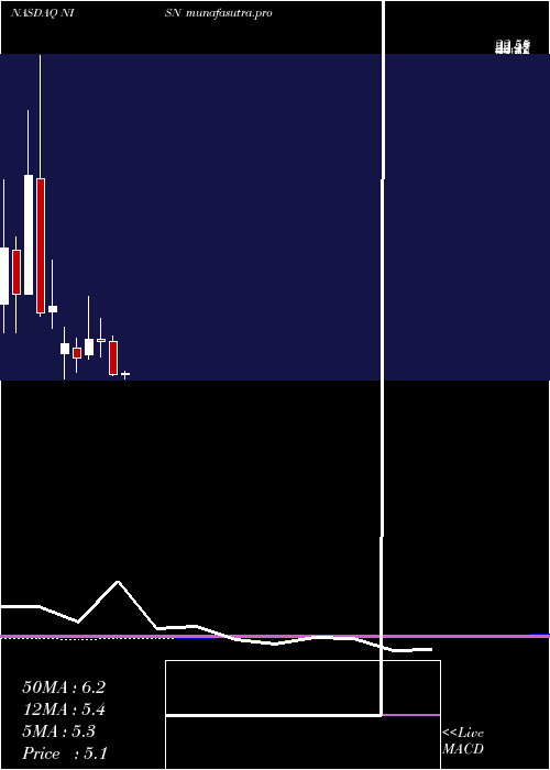 monthly chart NisunInt