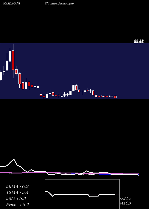 weekly chart NisunInt