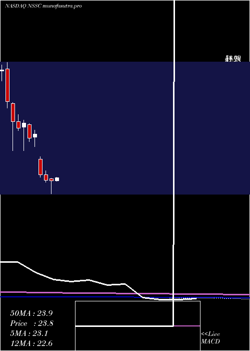 monthly chart NapcoSecurity