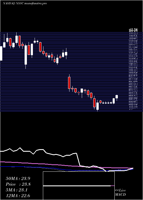 weekly chart NapcoSecurity