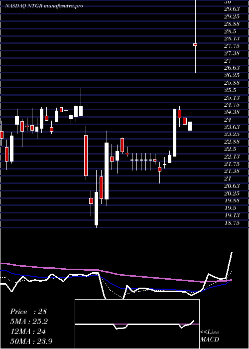Daily chart NetgearInc