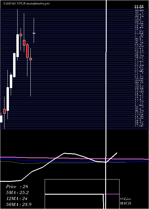 monthly chart NetgearInc