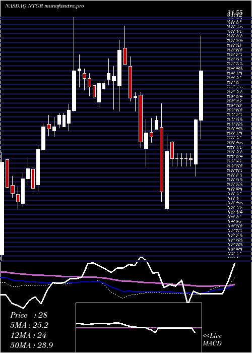 weekly chart NetgearInc